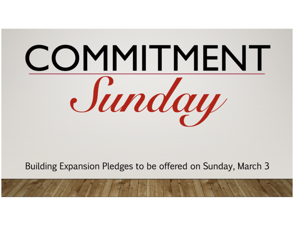 Commitment Sunday – A Willing Offering – 1 Chronicles 29:1-9