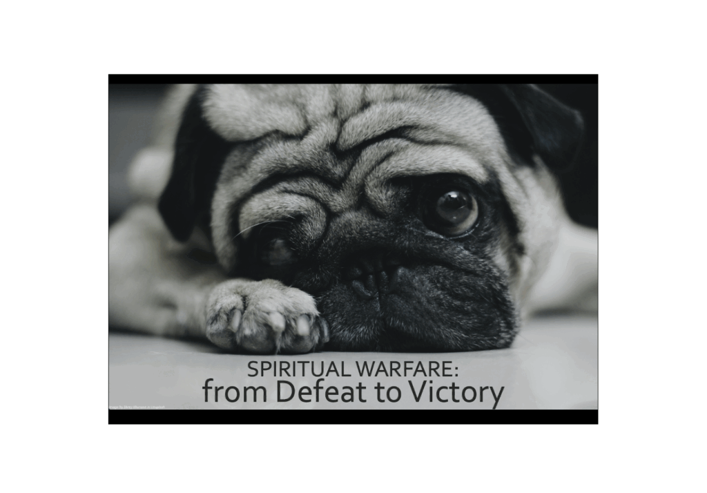 Romans 8:1-14 – Unworthy But Made Holy and Blameless