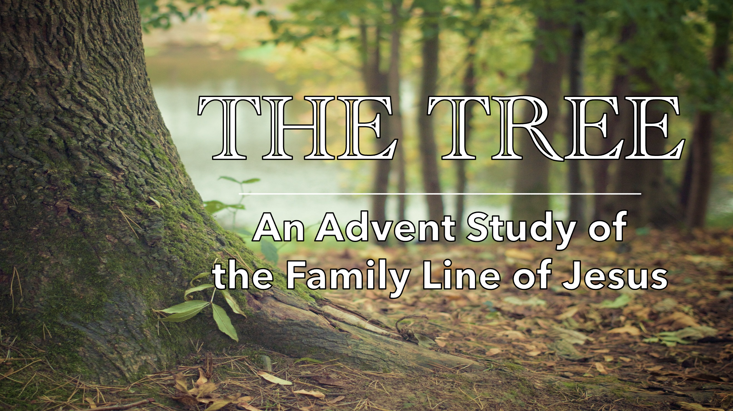 Matthew 1:1-6 - Accepted and Adopted